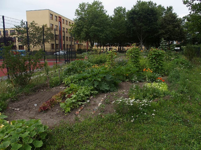 Incredible edible: “Edible Schoolyard” in Berlin