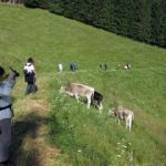Wandermeilen der Gesundheit - unterwegs in Österreich