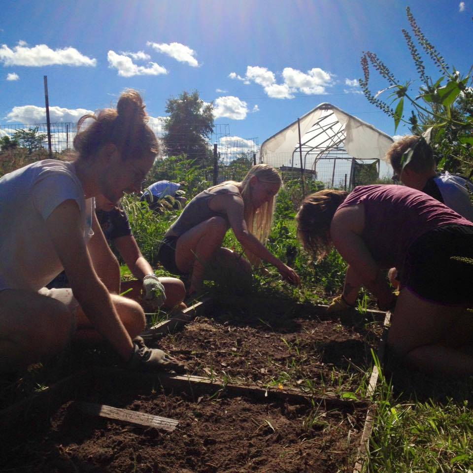 Grown on Campus: “University of Iowa Gardeners”