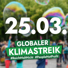 Globaler Klimastreik 25.03.22